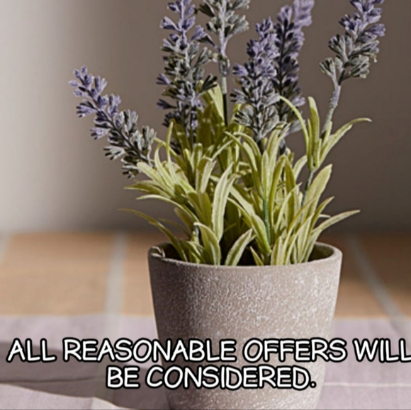 LOT of 6 collectible toy cars #2 - Picture 8 of 8